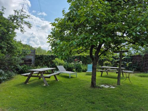 twee picknicktafels en een boom in het gras bij Gîte "Au Gré de l'Adour" in Aire-sur-lʼAdour