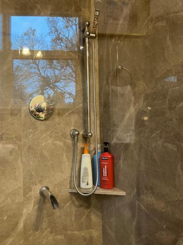 a shower stall with a shower at Vancouver West Shaughnessy Maison in Vancouver