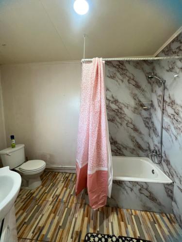 a bathroom with a shower curtain and a toilet at Casas Punta Arenas in Punta Arenas