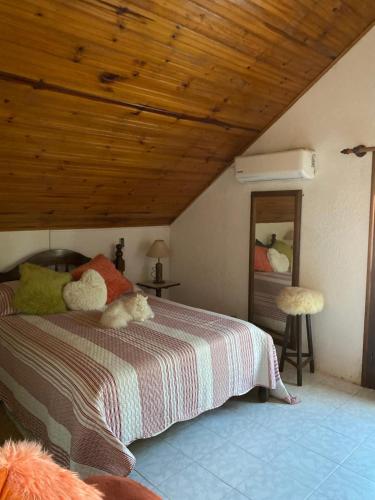 een slaapkamer met een bed met een hond erop bij Sin un Vinten in Aguas Dulces