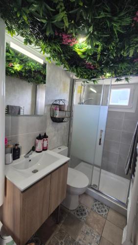 ein Badezimmer mit Toilette, Waschbecken und Dusche in der Unterkunft LoveRoom le moutik du bord de mer avec SPA et sauna parking gratuit in Lampaul-Plouarzel