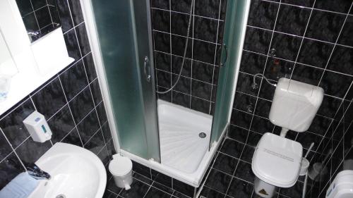 a bathroom with a toilet and a sink and a mirror at Pansion Stari Grad in Sarajevo
