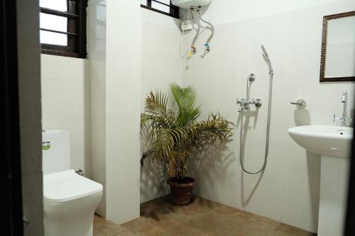 a bathroom with a shower and a toilet and a plant at Daarapari in Kaluk