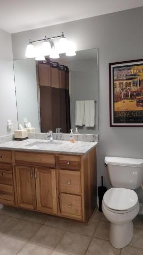 a bathroom with a sink and a toilet and a mirror at The Beachside Harborfront Hideaway in New Buffalo