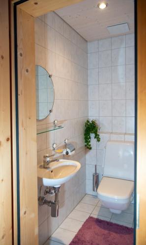 a bathroom with a sink and a toilet at Cozy alpine loft with fireplace in Lenz