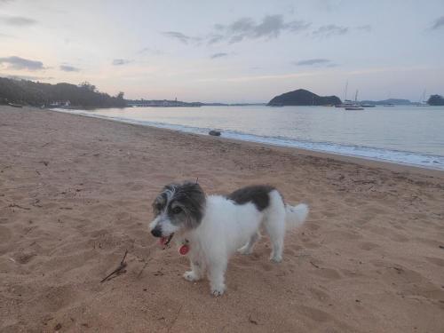 Φυσικό τοπίο κοντά σε αυτό το μοτέλ