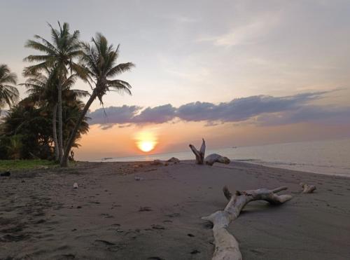 a sandy beach with palm trees and a sunset at Sonnenhouse Lombok Kertaraharja in Luk