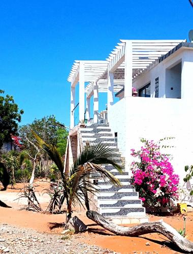 Studio vue sur brousse