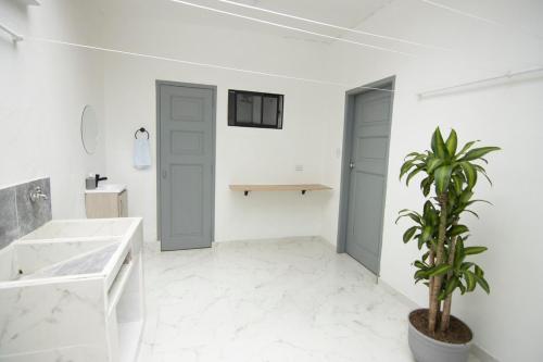 Ένα μπάνιο στο Medellin La 70 - Laureles