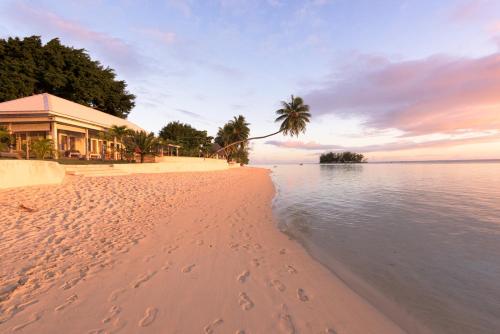 a beach with a building and palm trees next to the water at Moorea Beach Lodge in Moorea