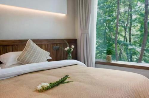 Gallery image of Huangshan Xishui Yunjian Forest Resort Hotel in Huangshan