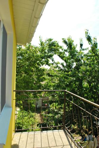 Fotografie z fotogalerie ubytování Guest Нouse v Oděse