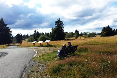 a man and woman sitting on a bench next to a road at Gasthof Braun in Schmallenberg