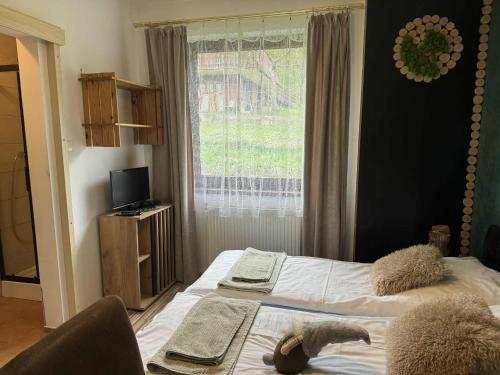 TV a/nebo společenská místnost v ubytování Zielona Łąka