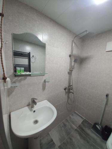 a bathroom with a sink and a shower at Sesili's apartment in Stepantsminda