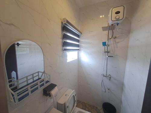a bathroom with a mirror and a toilet and a sink at Oghomwen Lodge and Service Apartment in Benin City