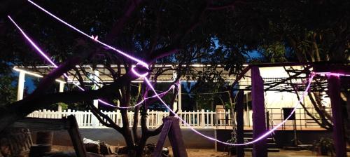 Serene Homestay في بادامي: شجرة ذات أضواء أرجوانية أمام منزل