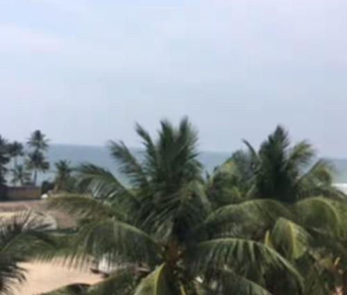 Φυσικό τοπίο κοντά σε αυτό το διαμέρισμα