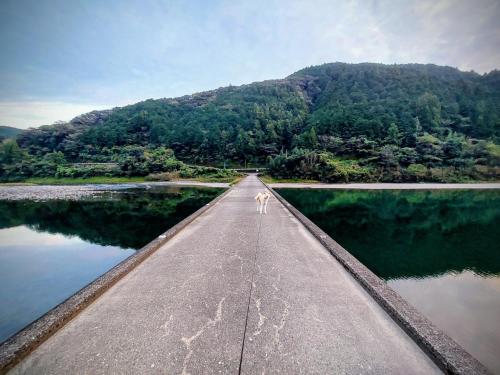 ゲストハウスの近くで見られる自然の景観