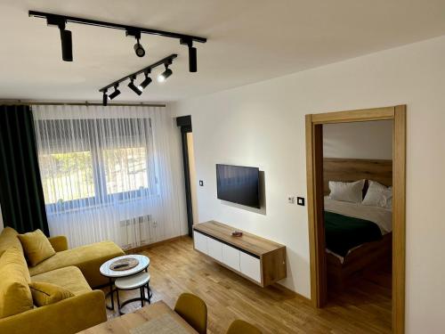 TV a/nebo společenská místnost v ubytování Gold Apartman