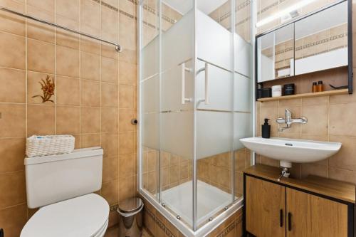a bathroom with a shower and a toilet and a sink at Lake View Studio 1 - 2 Personen I See - Bergsicht I 40" Smart TV I Dusche, Fahrstuhl und Parkplatz in Ingenbohl