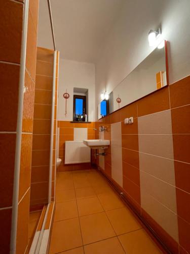 a bathroom with a sink and a mirror at Apartmány Obora v Podbezdězí in Doksy
