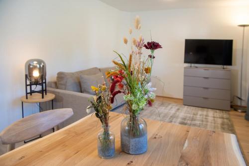 Μια τηλεόραση ή/και κέντρο ψυχαγωγίας στο Studio Aurora for 2 people Lenzerheide