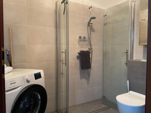 a bathroom with a washing machine and a shower at Appartement Linda in Rheinfelden