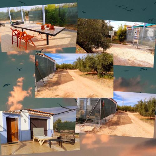 a collage of photos with a picnic table and a tent at Casa Rural El Olivar Victoria in Cuevas del Campo