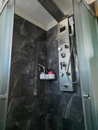 a bathroom with a shower with a black tile floor at Casa a 4 zampe in Gorizia