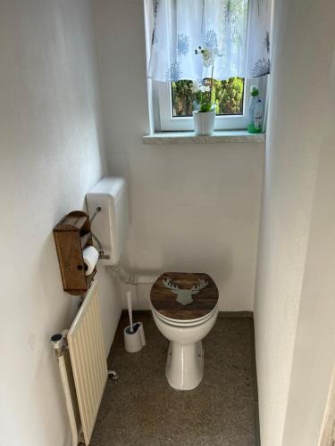 Φωτογραφία από το άλμπουμ του Haus Leiner σε Anger