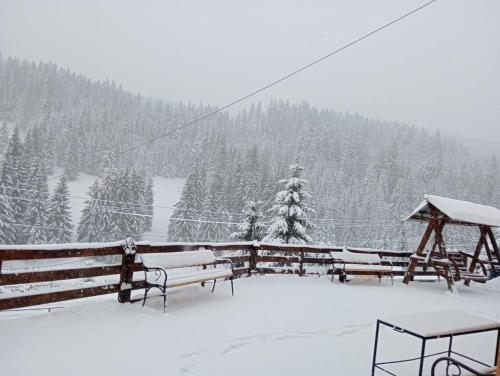 Billede fra billedgalleriet på Casa Aurici Vatra Dornei i Vatra Dornei