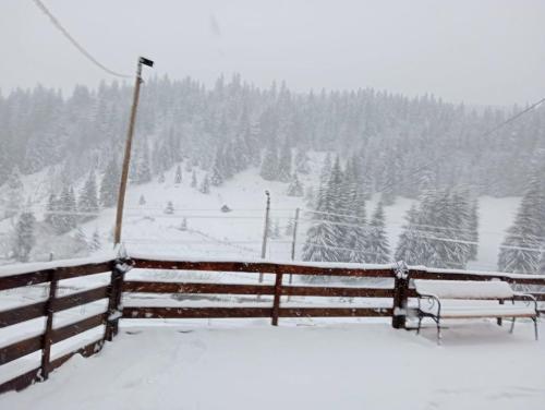 Billede fra billedgalleriet på Casa Aurici Vatra Dornei i Vatra Dornei