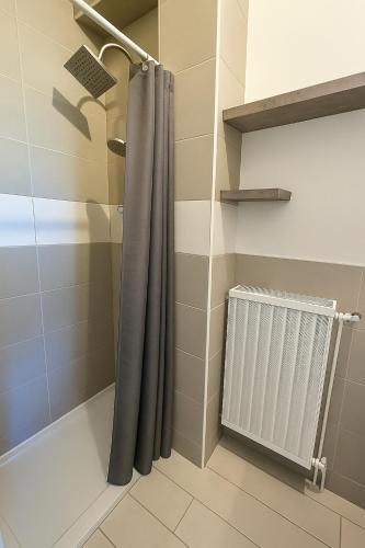 eine Dusche mit Duschvorhang und Heizkörper in der Unterkunft Le cocon in Verdun-sur-Meuse