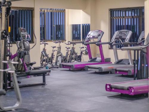 Fitness centrum a/nebo fitness zařízení v ubytování Casa Almasi