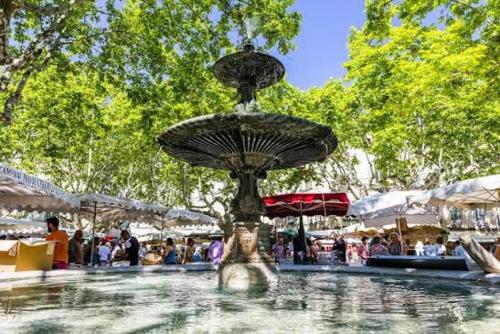 a fountain in the middle of a crowd of people at Stéphanie in Remoulins