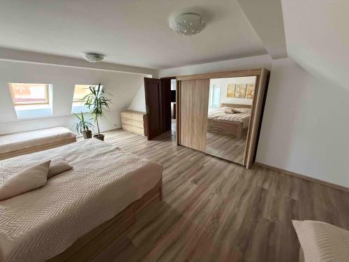 um quarto com uma cama grande e um espelho grande em Apartmán v pekárně em Vejprty