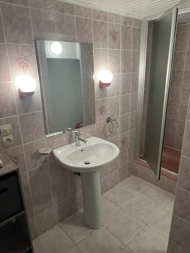 Koupelna v ubytování La Ligonne