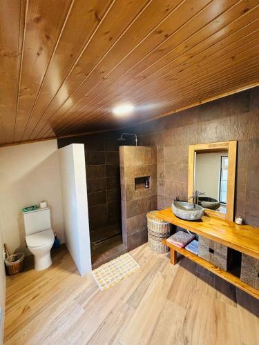 a bathroom with a sink and a toilet at Casinha da Relva 