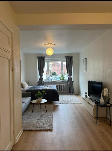 Μια τηλεόραση ή/και κέντρο ψυχαγωγίας στο Södra innerstadens pärla