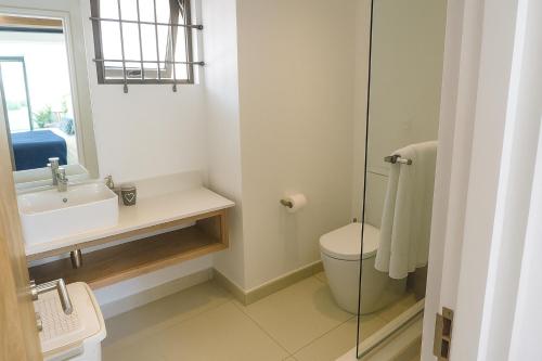 a bathroom with a toilet and a sink and a mirror at Villa Serenity Seafront with Tropical Gardens by Serenity in Calodyne