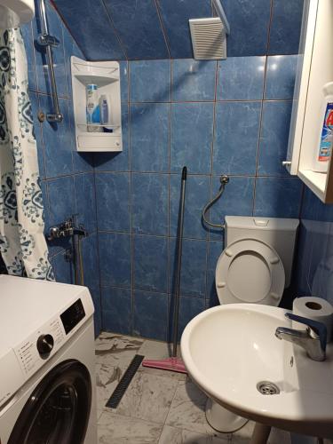 ein Badezimmer mit Waschmaschine und Waschbecken in der Unterkunft Apartman Branko in Kolašin