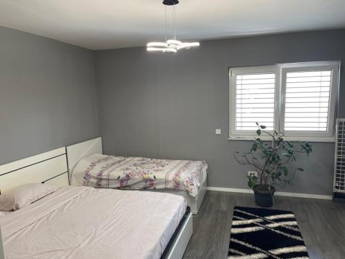 コソフスカ・ミトロビツァにあるLuxury Homeのベッドルーム1室(ベッド2台、鉢植え付)