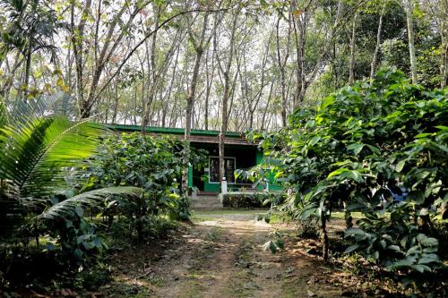 Zahrada ubytování Green wayanad homestay