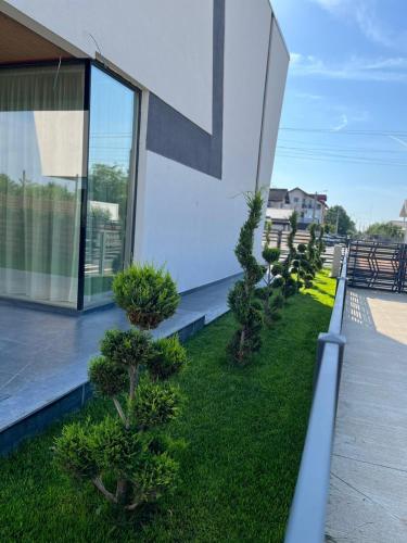 eine Reihe von Bäumen an der Seite eines Gebäudes in der Unterkunft KNIGHT Resort in Voluntari