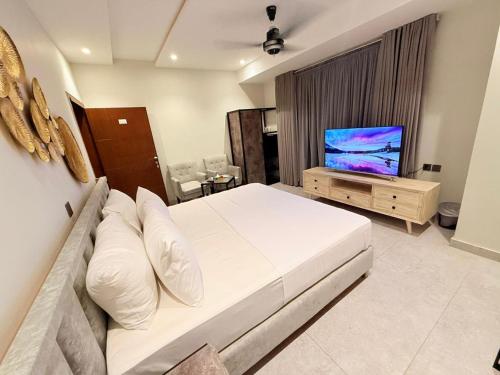 Televiisor ja/või meelelahutuskeskus majutusasutuses Legacy Dreams Jinnah Super