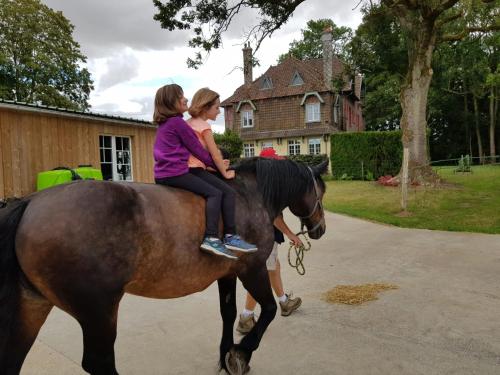 Άλλα ζώα σε αυτό το bed & breakfast ή στη γύρω περιοχή