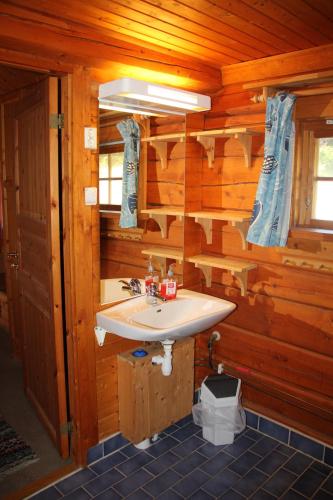 a bathroom with a sink in a wooden cabin at KynnefjällsNatur in Hedekas