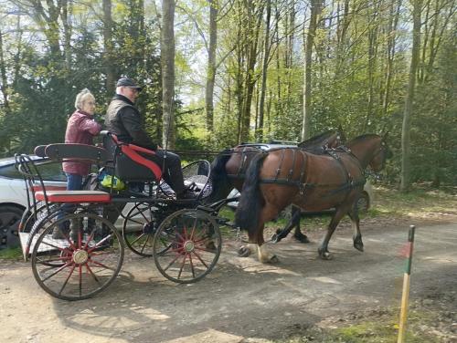 a man and a woman riding in a horse drawn carriage at Le château de Mesnil 1916 in Mesnil-Martinsart