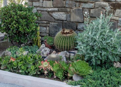 a garden with various plants in front of a stone wall at Oikia Eleanthi - Beachfront Garden Home! in Mitikas